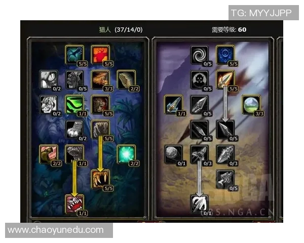 杨芳独家揭秘英雄联盟游戏技巧与心得分享助你提升实力与游戏体验